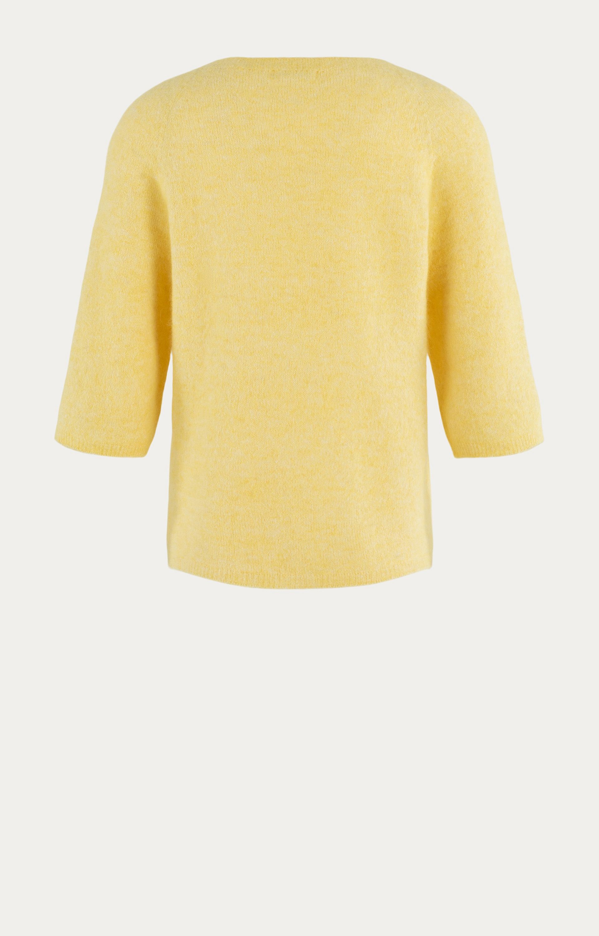 Pullover Cis